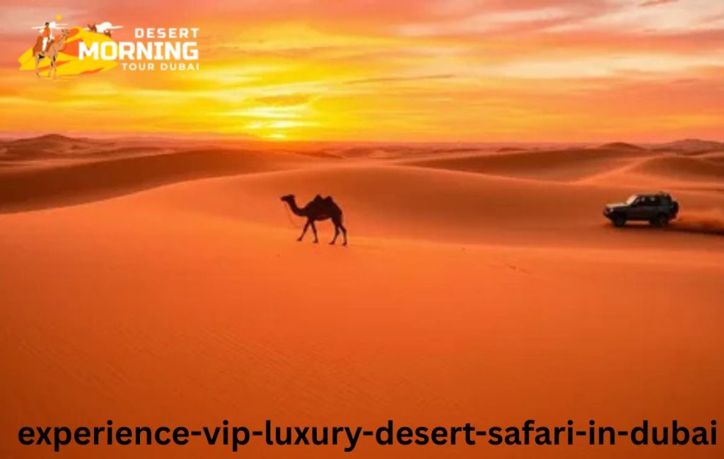 Experience VIP Luxury Desert Safari in Dubai 