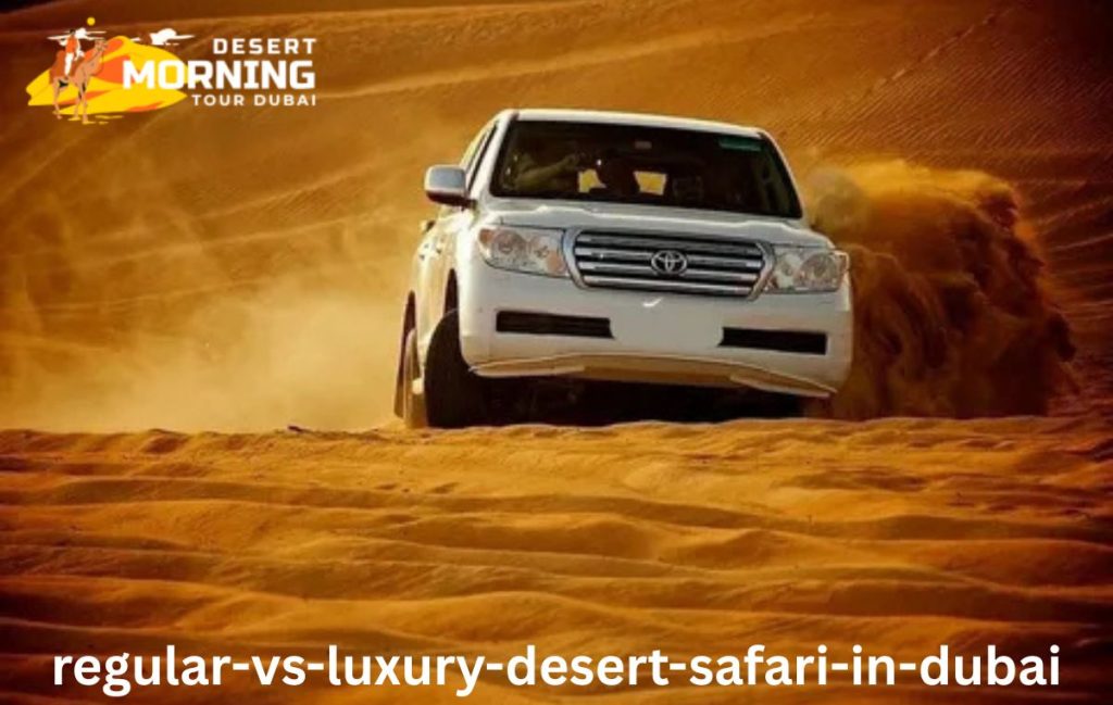 Regular vs Luxury Desert Safari in Dubai