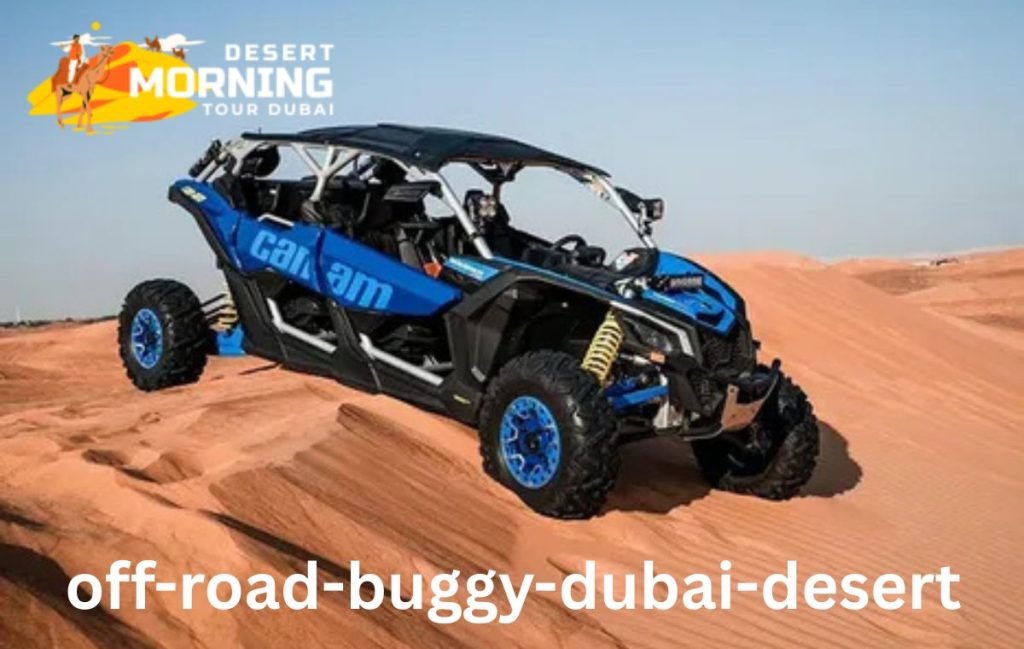 Off Road Buggy Dubai Desert