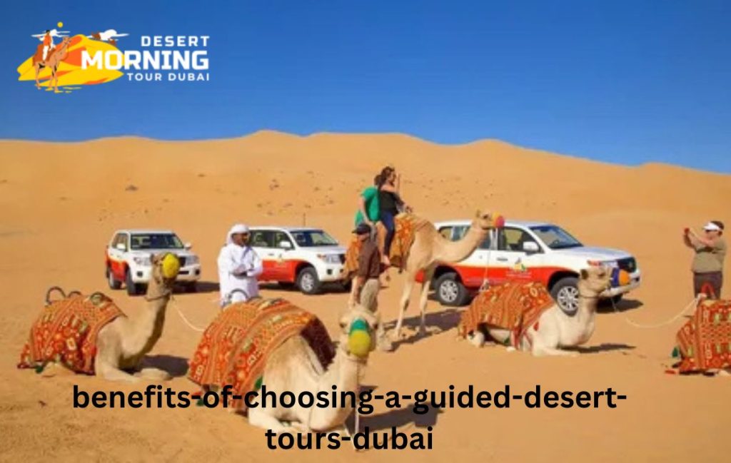 Benefits of Choosing a Guided Desert Tours Dubai