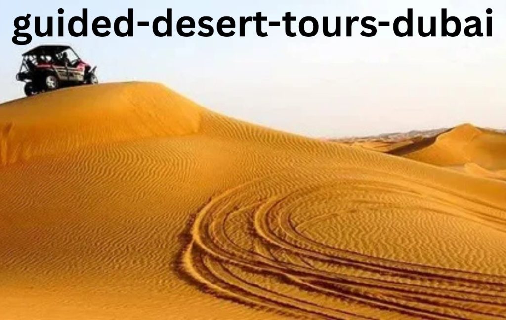 Guided Desert Tours Dubai