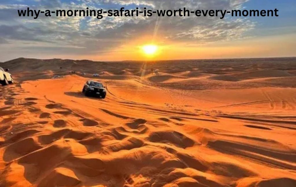 Why a Morning Safari Is Worth Every Moment?