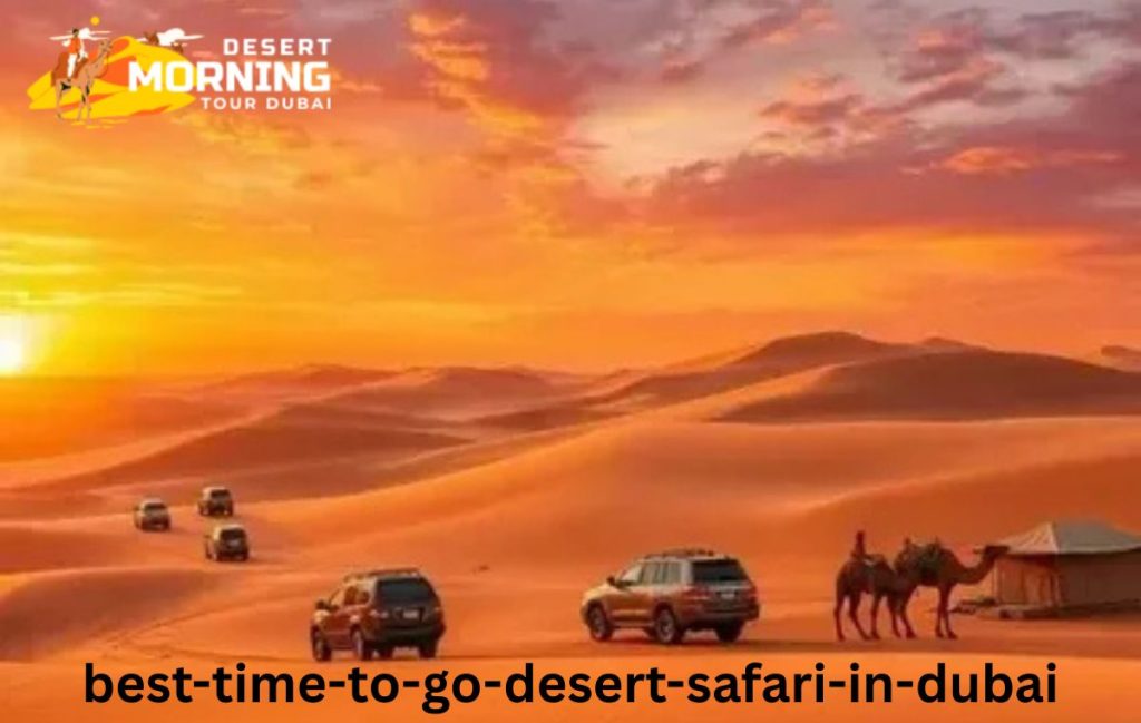 Best Time to Go Desert safari in Dubai