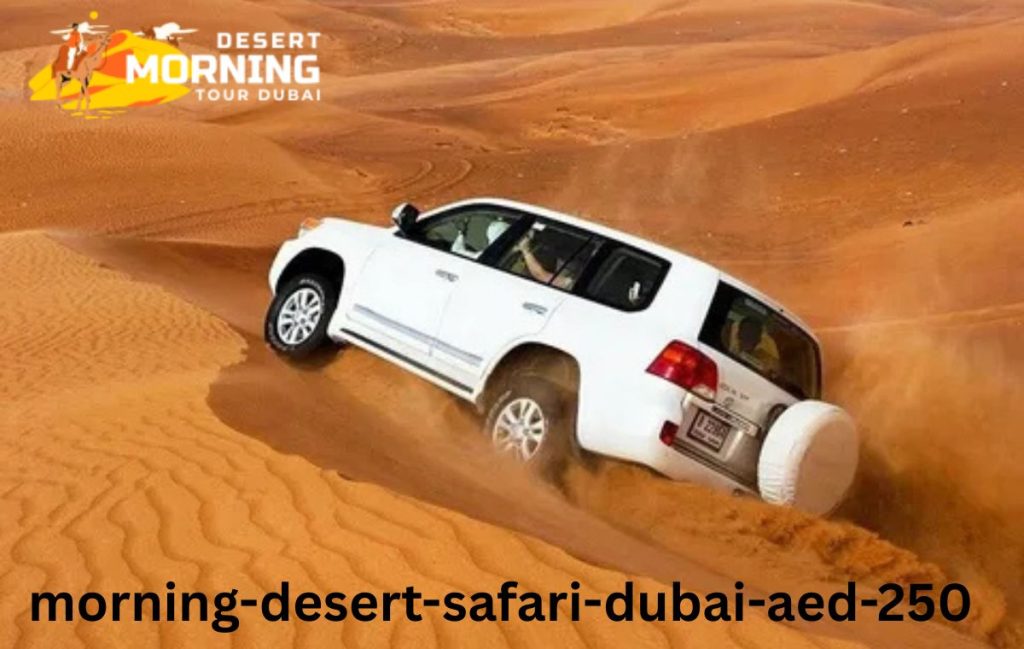 Private Morning Desert Tour Dubai Camel Riding