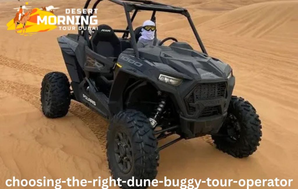 Choosing the Right Dune Buggy Tour Operator