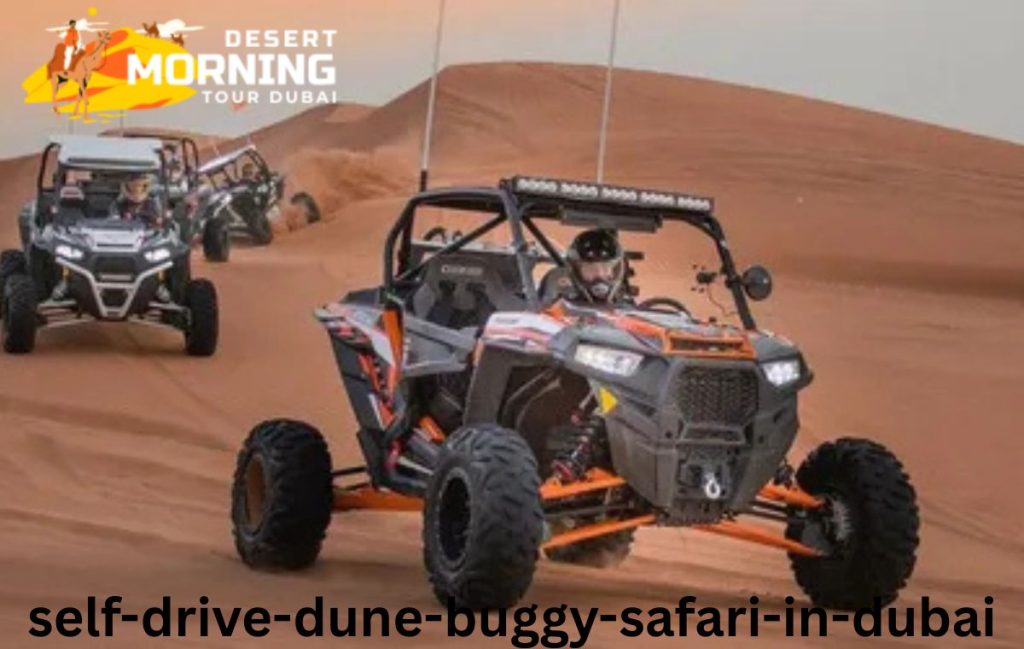 Self Drive Dune Buggy Safari in Dubai
