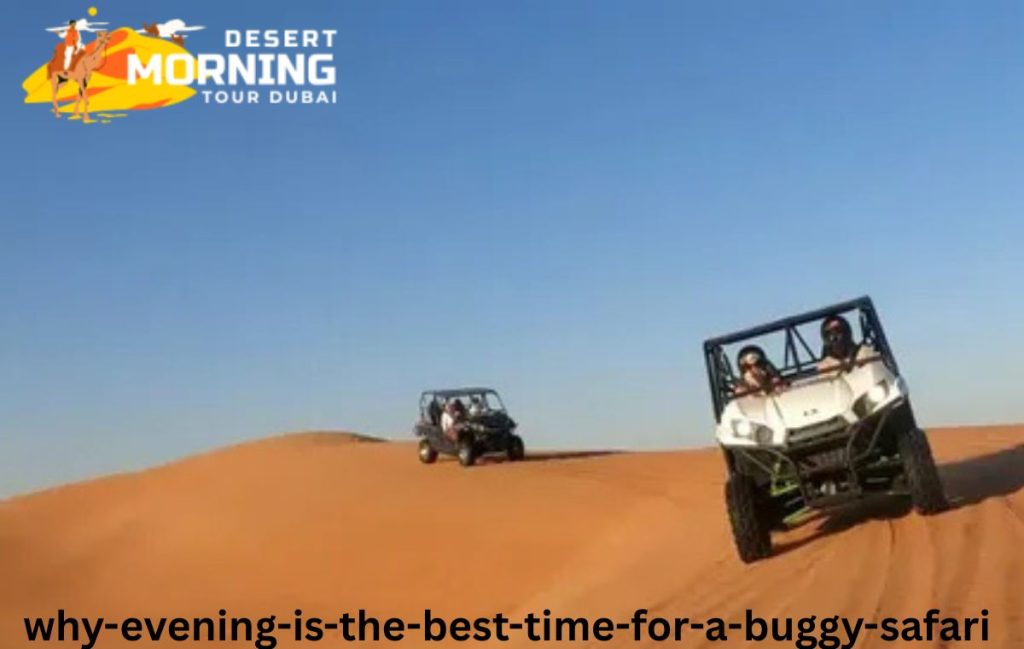 Why Evening Is the Best Time for a Buggy Safari?