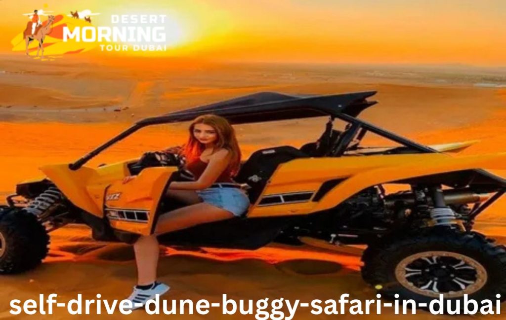 Self Drive Dune Buggy Safari in Dubai
