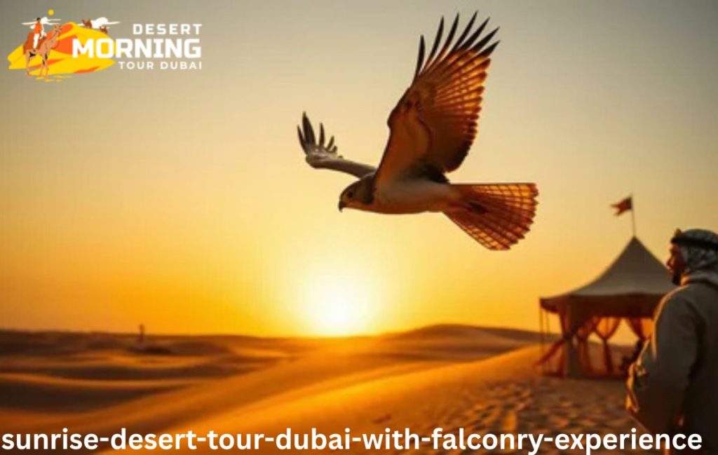 Sunrise Desert Tour Dubai with Falconry Experience