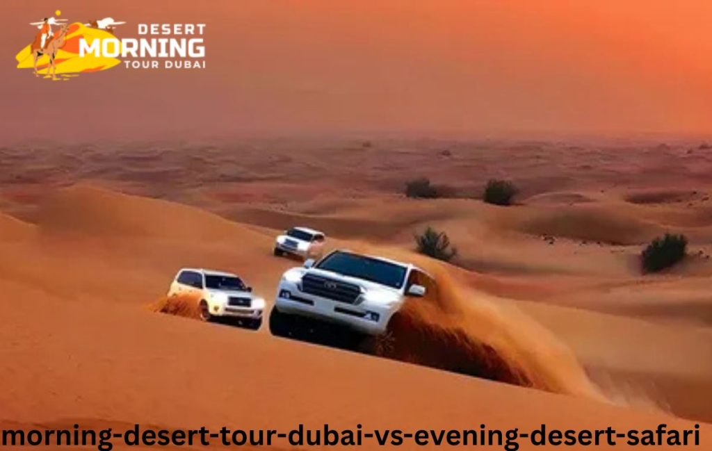 Morning Desert Tour Dubai vs Evening Desert Safari