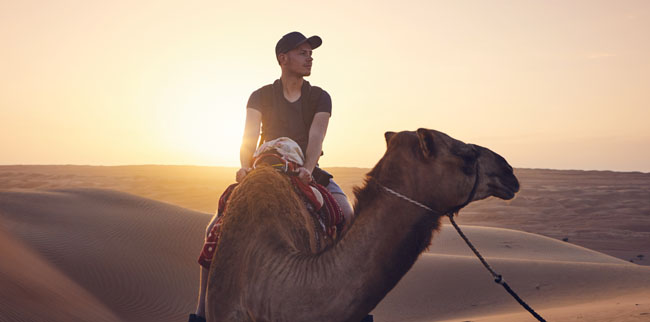 Dubai Desert at Dawn a perfect safari experience