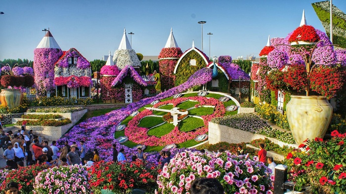 Beauty of hundreds of flowers in Dubai Miracle Garden, free tickets offer hurry up its limited time offer!